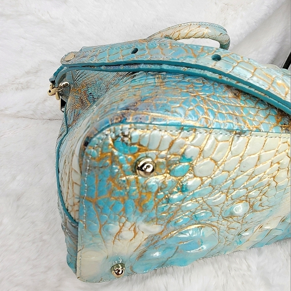 Brahmin - Picture 9 of 12